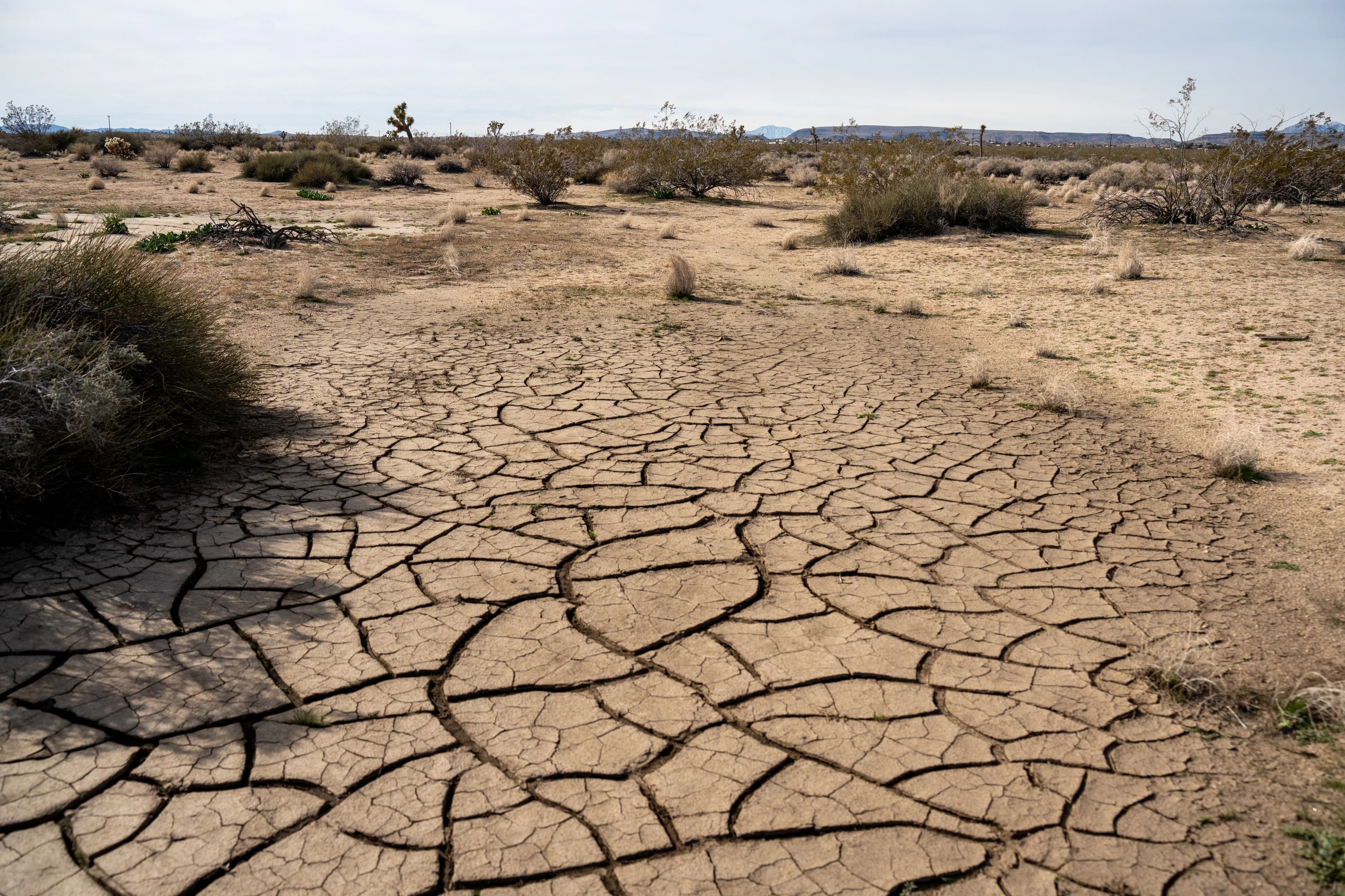 Location of the source footage of the installation, captured in Landers, CA in February 2024